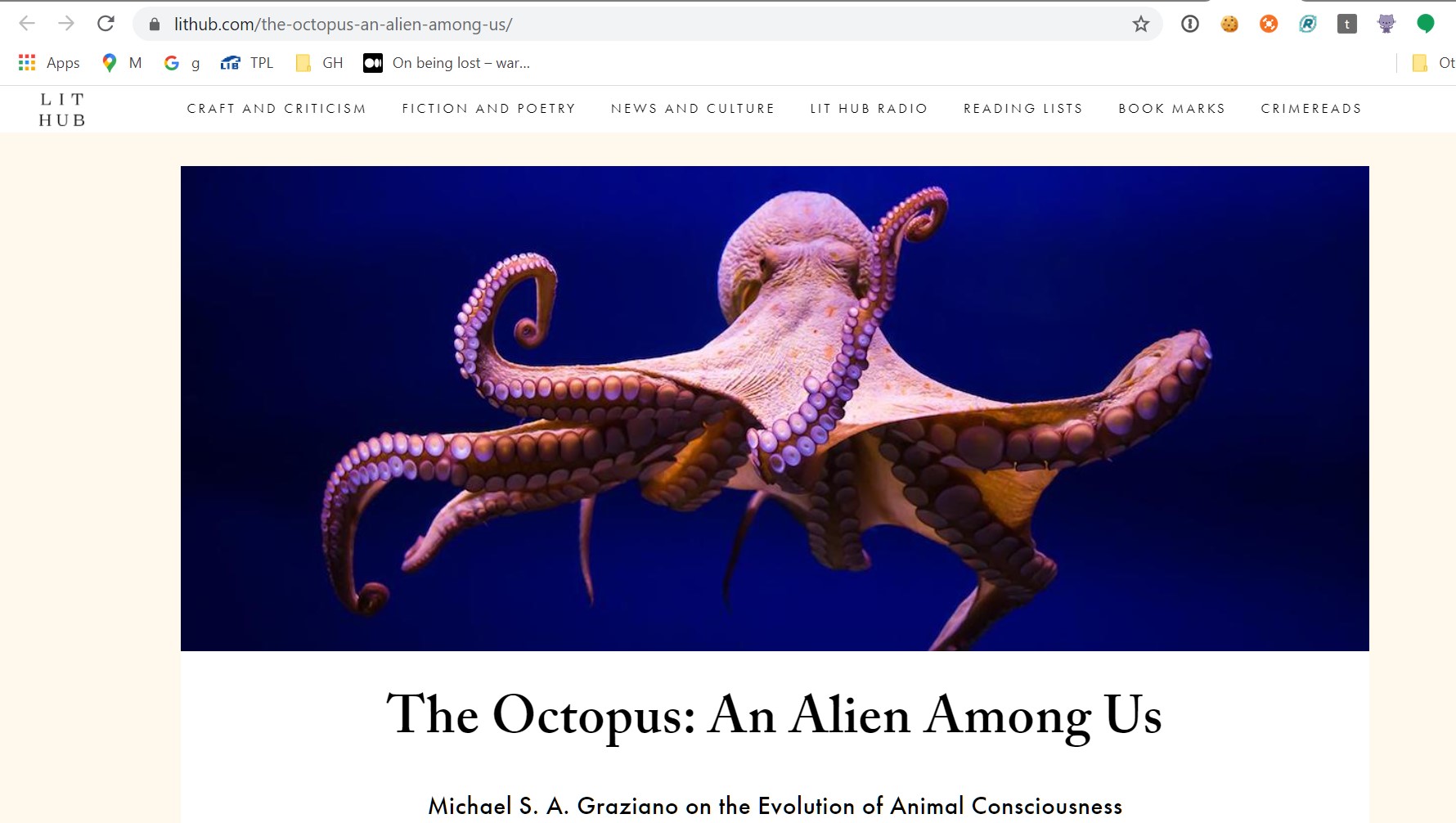 "Screen capture of LitHub.com 'the alien is among us'