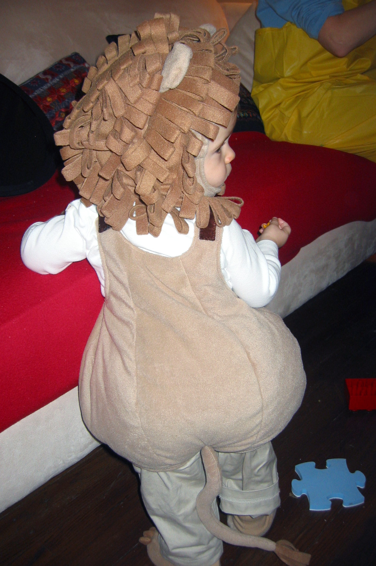 Infant in a lion costume