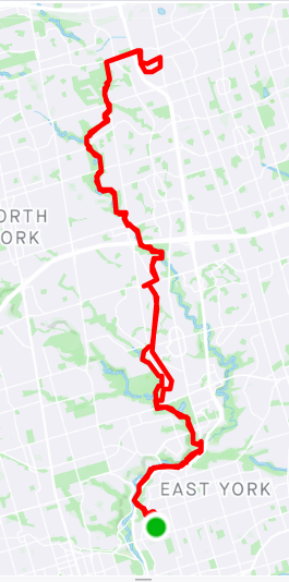 route map from Danforth up to Steeles