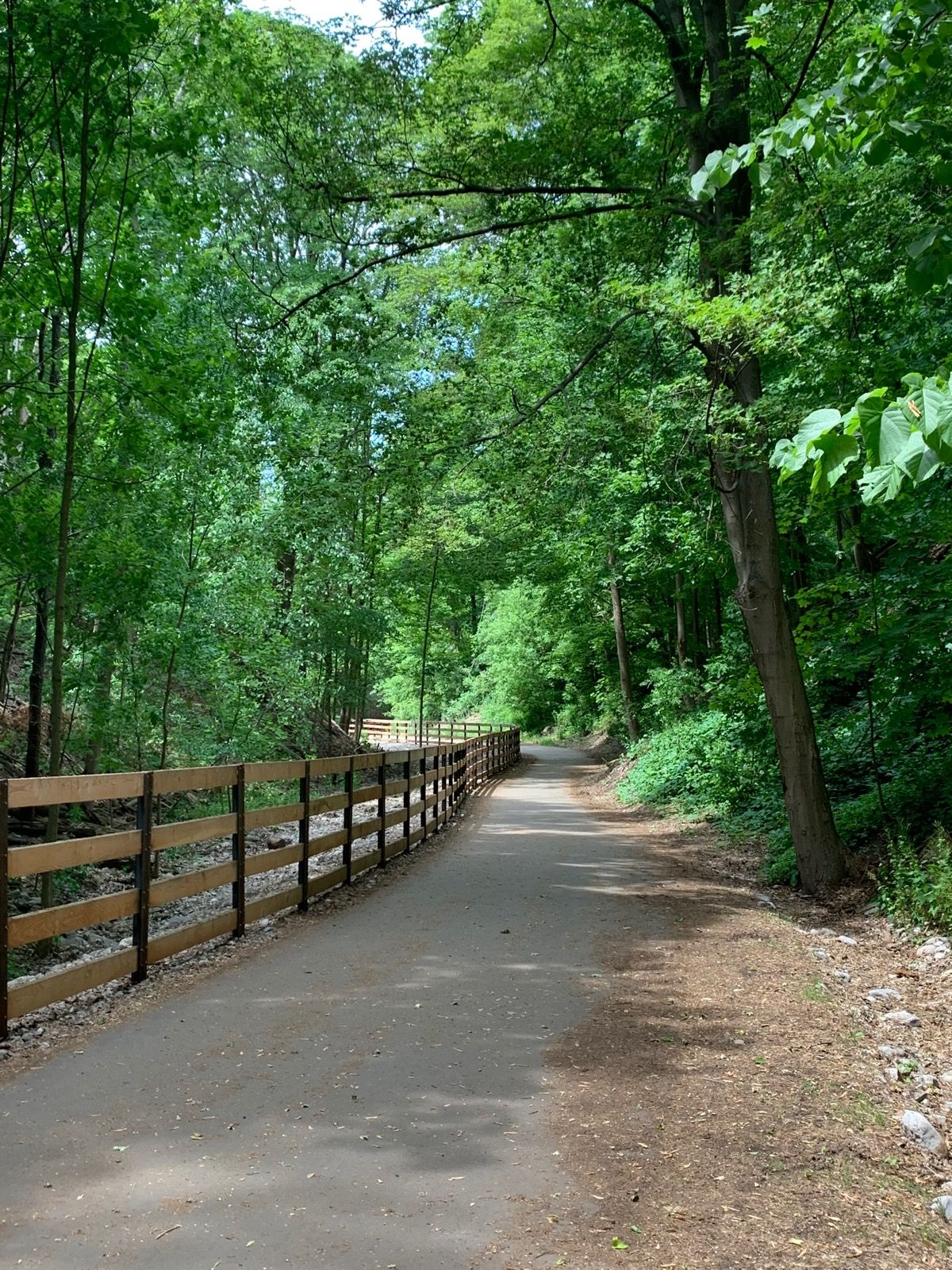 tree-lined trail sloping downhill